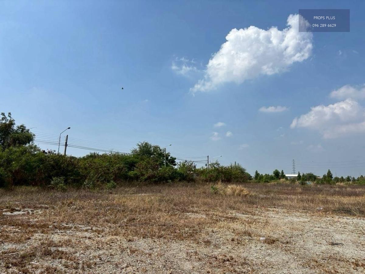 🏭ขายที่ดิน 28 ไร่ | ใกล้อมตะ

📍 ติดถนนบ้านเก่า อ.พานทอง จ.ชลบุรี
ผังสีม่วงจุดขาว (รองรับอุตสาหกรรม)

🔹 เนื้อที่ 28 ไร่
🔹 ที่ดินถมแล้ว พร้อมพัฒนา
🔹 ติดถนนหลัก
🔹 เข้า–ออกได้ทั้งด้านหน้าและด้านหลัง (ติดถนน 2 ด้าน)