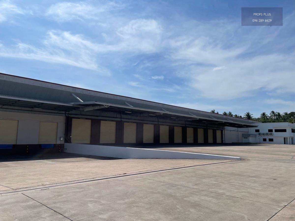 🏭 โรงงาน / คลังสินค้าให้เช่า 12,980 ตร.ม. | General Zone

📍 ตั้งอยู่ในนิคมอุตสาหกรรม | บ่อวิน – ศรีราชา จ.ชลบุรี

💰 อัตราค่าเช่า: 210 บาท/ตร.ม./เดือน
🔸 เงินประกัน: 3 เดือน
🔸 ค่าเช่าล่วงหน้า: 1 เดือน