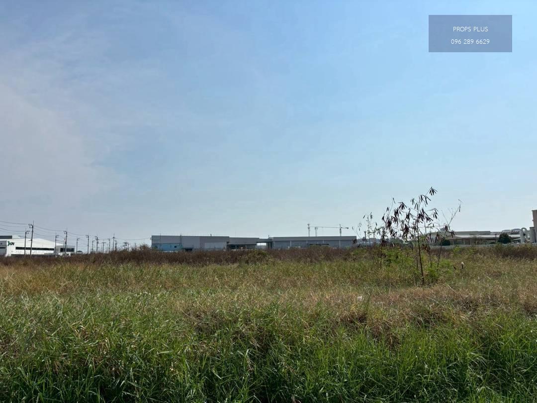 🏭 ขายที่ดินเปล่า 7–20 ไร่📍 ในนิคมอุตสาหกรรม จังหวัดสมุทรปราการผังสีม่วง (รองรับกิจการอุตสาหกรรม)🔹 ขนาดที่ดิน 7–20 ไร่🔹 อยู่ภายในนิคมอุตสาหกรรม🔹 ติดถนนหลัก🔹 เหมาะสำหรับสร้างโรงงาน / คลังสินค้า🎯 ราคาเสนอขายไร่ละ 14,500,000 บาท    🏭🏭