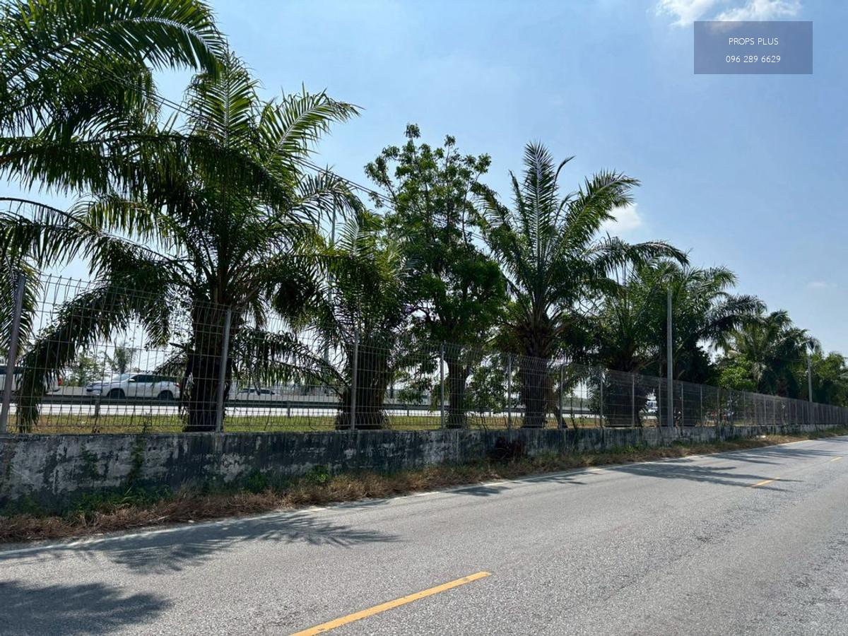 🏭ขายที่ดินอุตสาหกรรม 7-2-31.5 ไร่  ใกล้นิคมอมตะนคร ชลบุรี